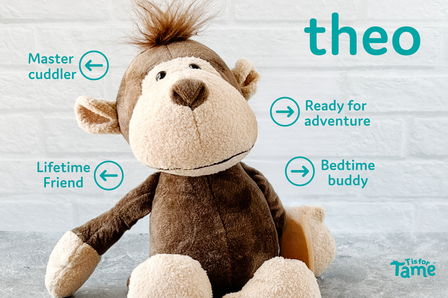 Theo the Stuffed Monkey