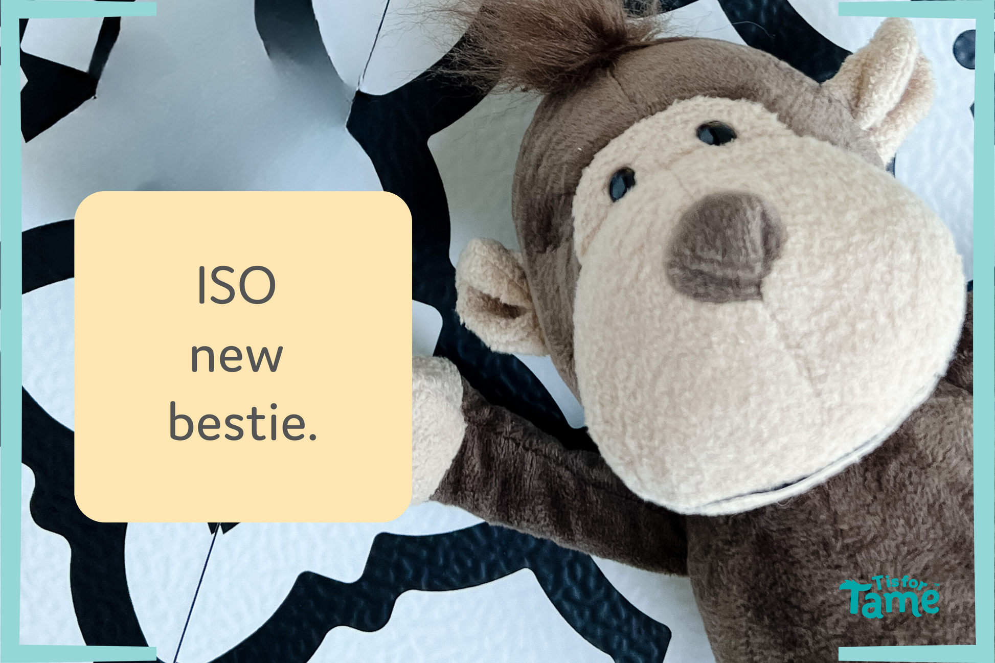 Theo the Stuffed Monkey T is for Tame